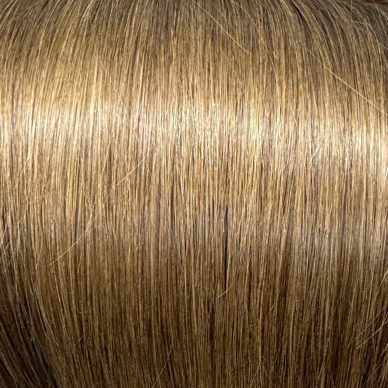 Clip In